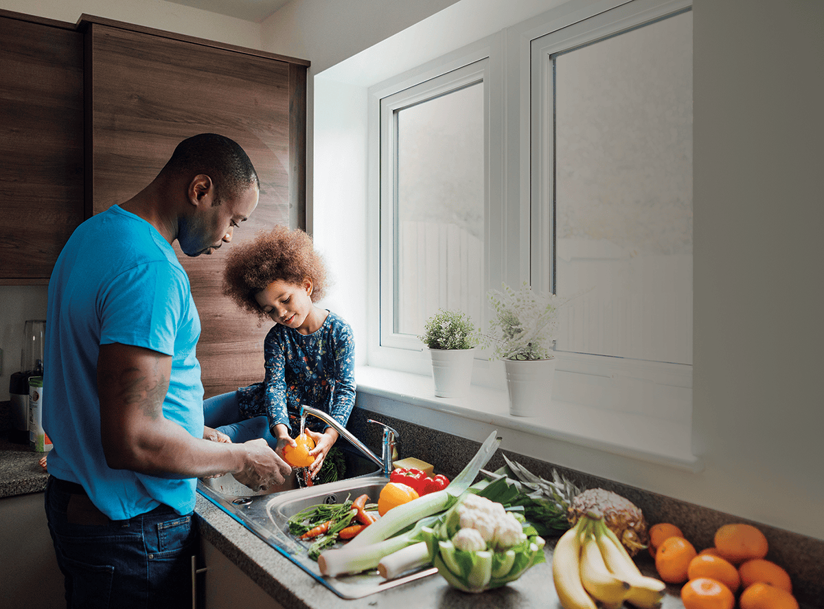 Sprout, the revolutionary kitchen sink-waste filter and garbage disposal alternative, designed to keep grease and food waste out of residential kitchen drains.